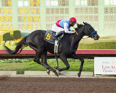 The top pick is #4 She's So Fancy the 2/1 ML favorite trained by Jerry Wallace, II and ridden by Edgar Payeras. . Los alamitos thoroughbred entries